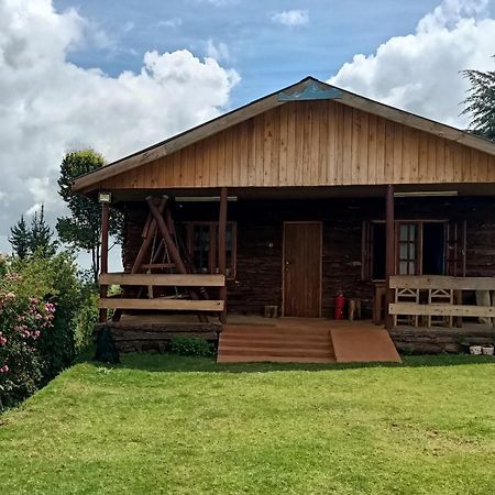 The Wonky House Apartamento Timau Exterior foto