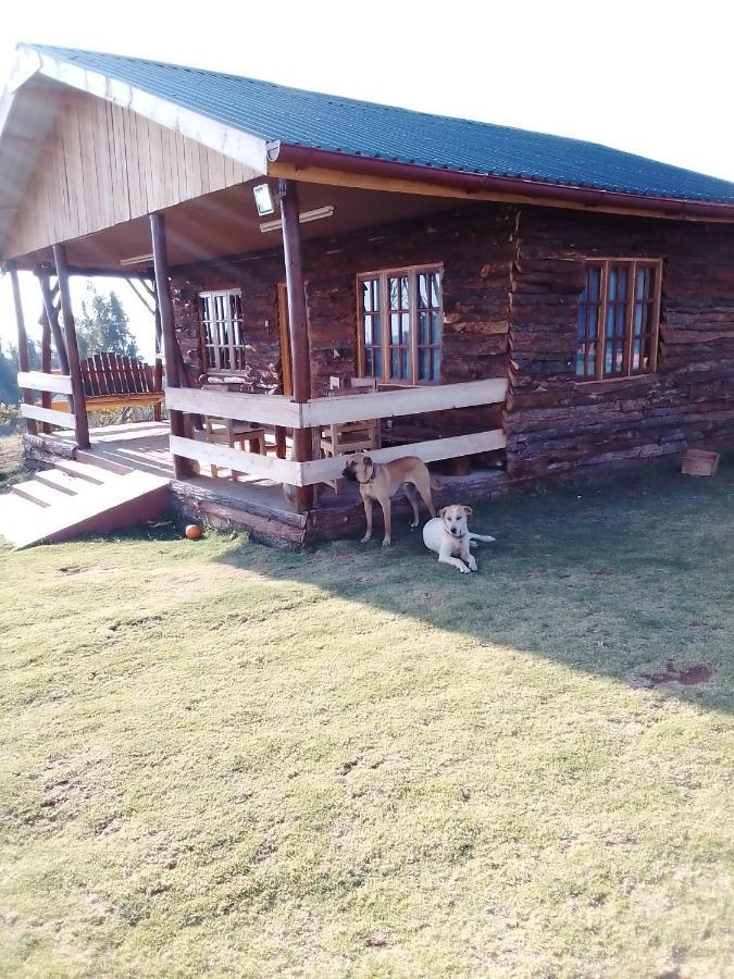 The Wonky House Apartamento Timau Exterior foto